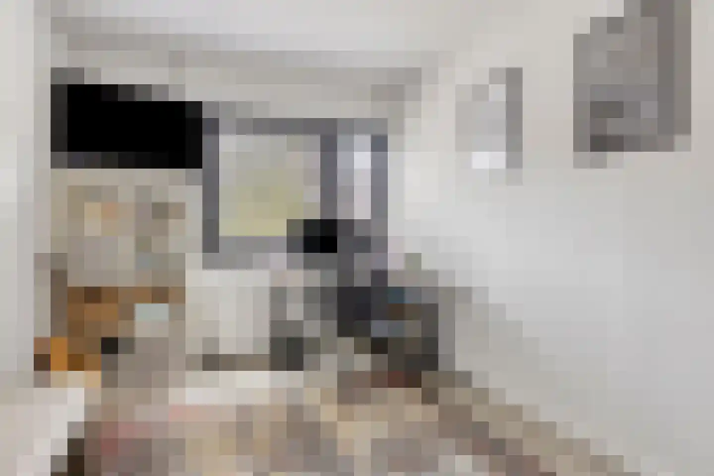 Aïdaschouw 53 Zoetermeer thumbnail 19