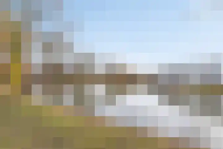 Aïdaschouw 53 Zoetermeer thumbnail 30