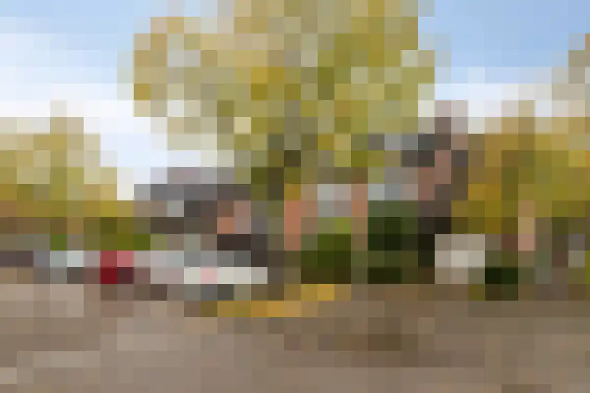 Aïdaschouw Zoetermeer