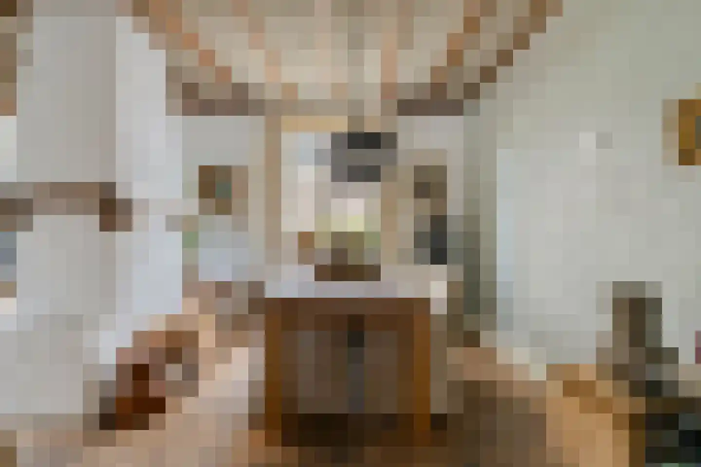 Aijen 14 Bergen L thumbnail 11