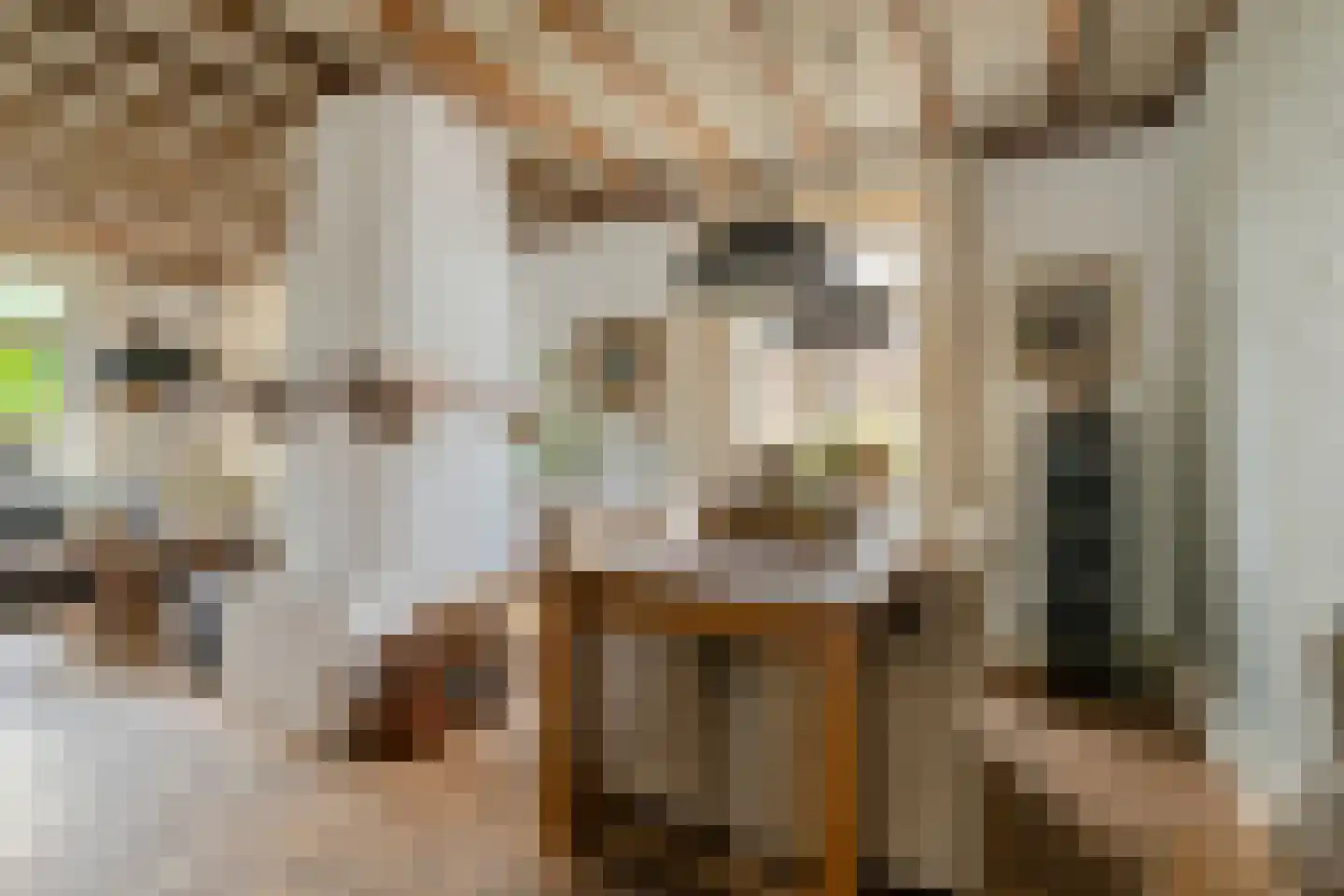 Aijen 14 Bergen L thumbnail 12