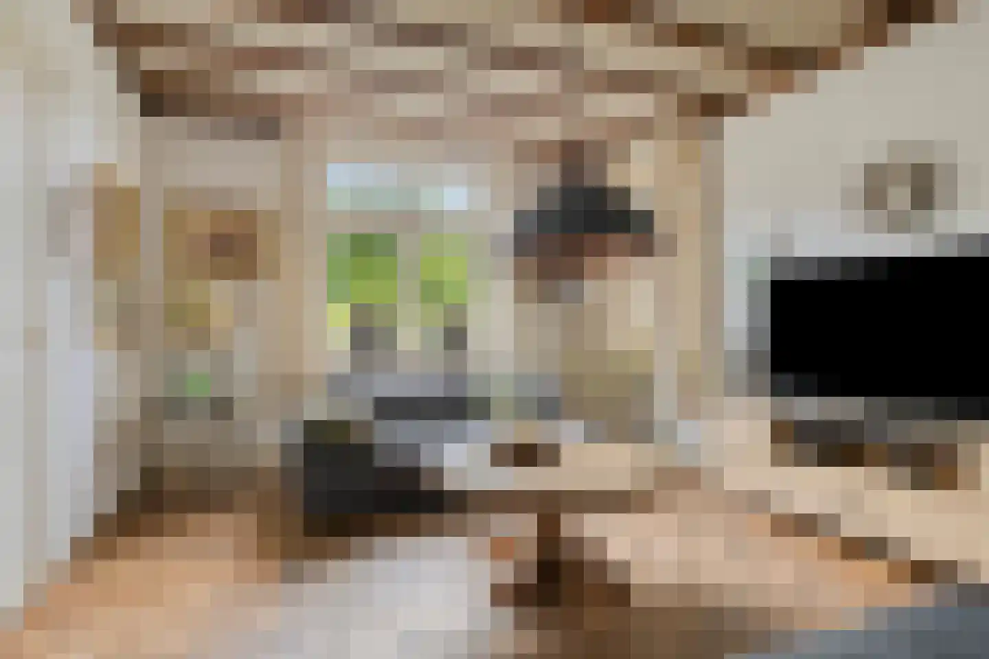 Aijen 14 Bergen L thumbnail 13