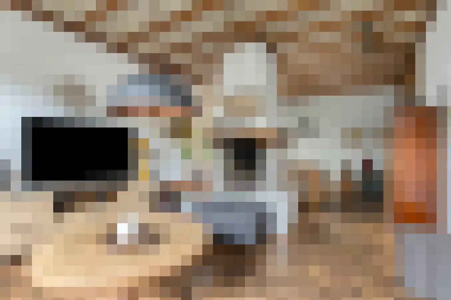 Aijen 14 Bergen L thumbnail 14