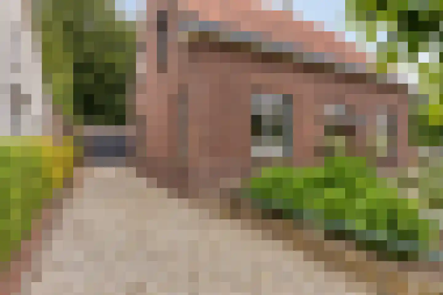 Aijen 14 Bergen L thumbnail 42