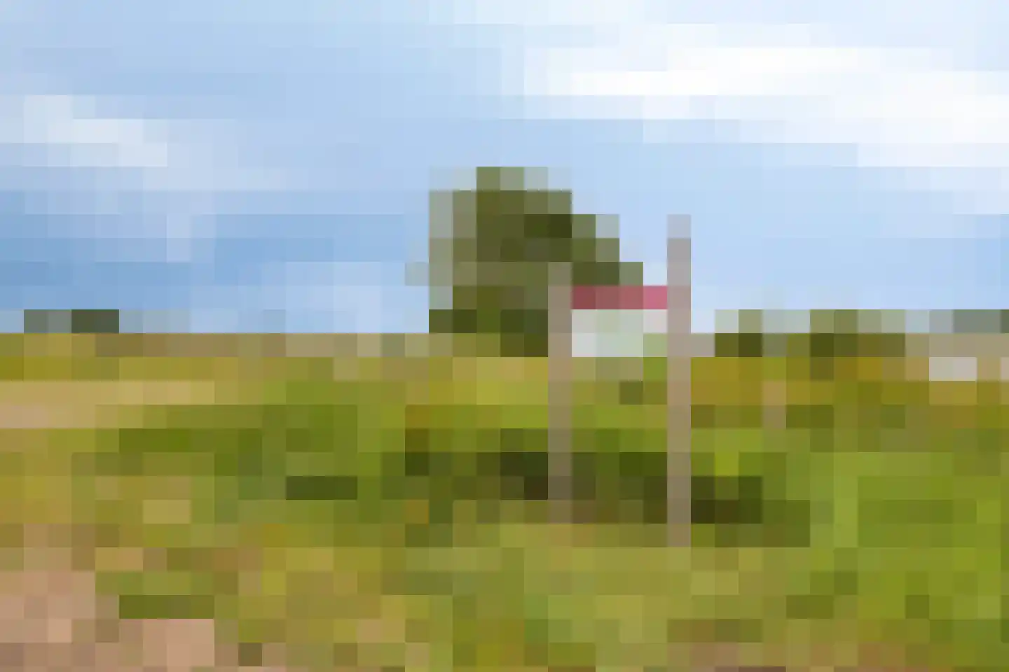 Aijen 14 Bergen L thumbnail 51