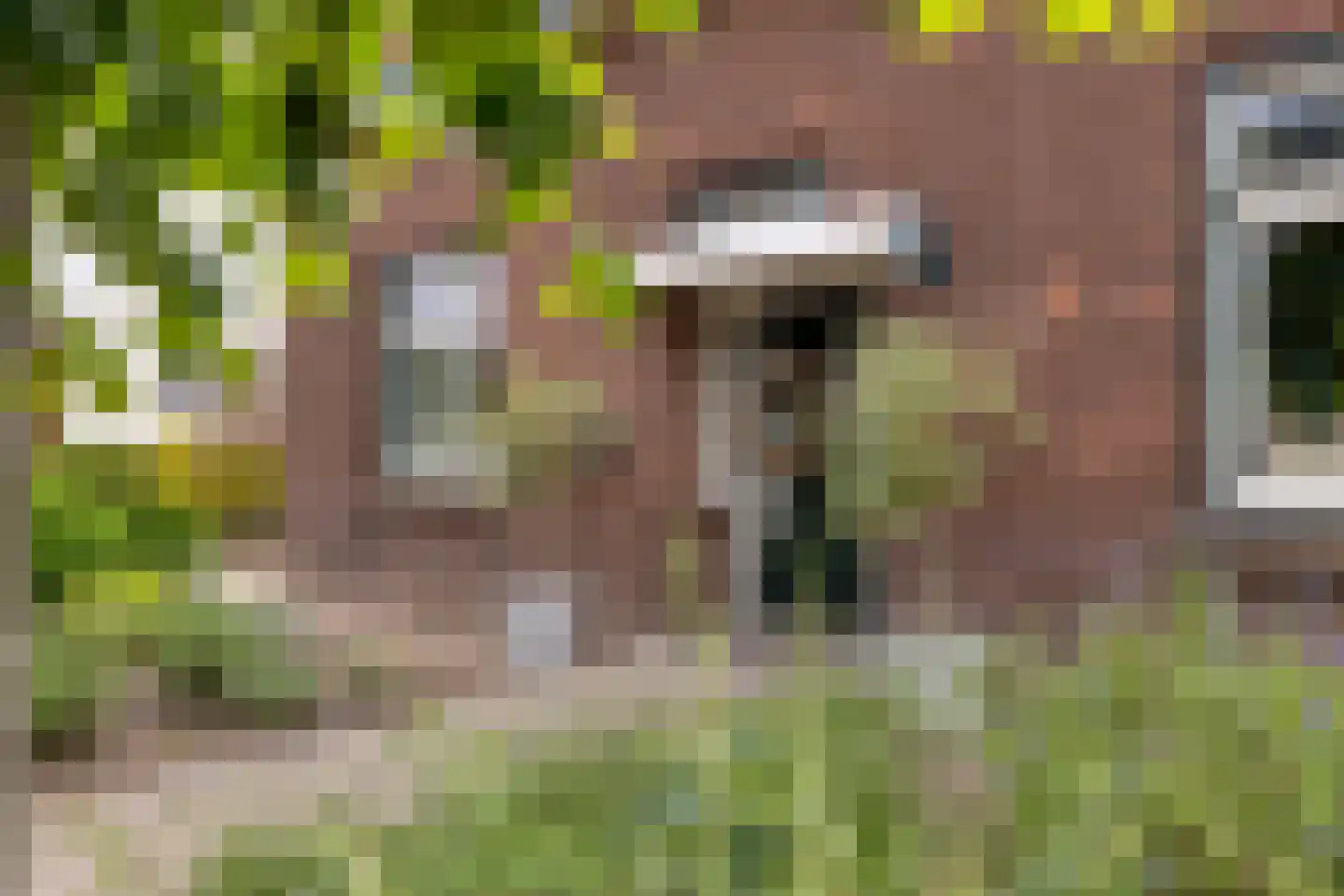 Aijen 14 Bergen L thumbnail 6