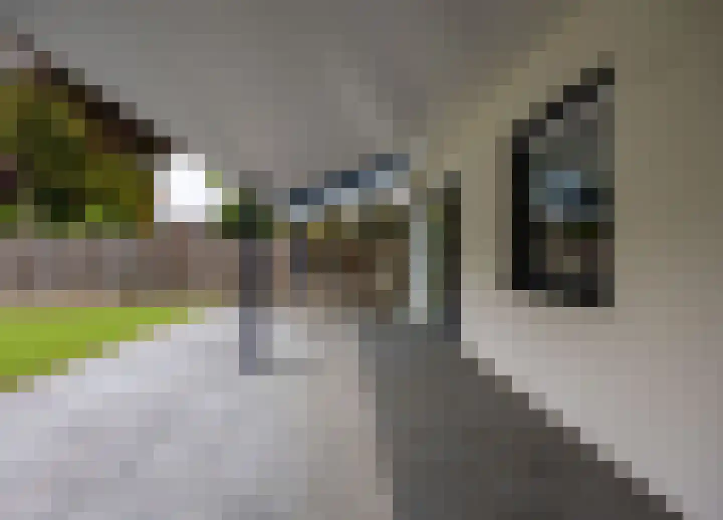 Aijen 32 Bergen L thumbnail 33