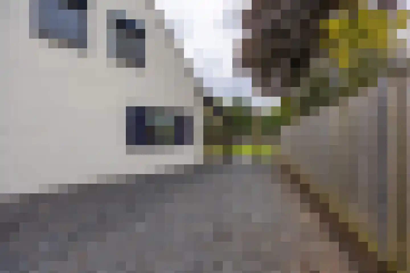 Aijen 32 Bergen L thumbnail 36