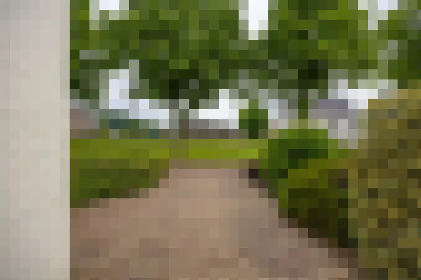 Aijen 32 Bergen L thumbnail 42