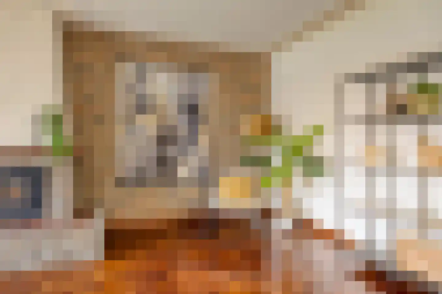 Aijen 8 Bergen L thumbnail 12