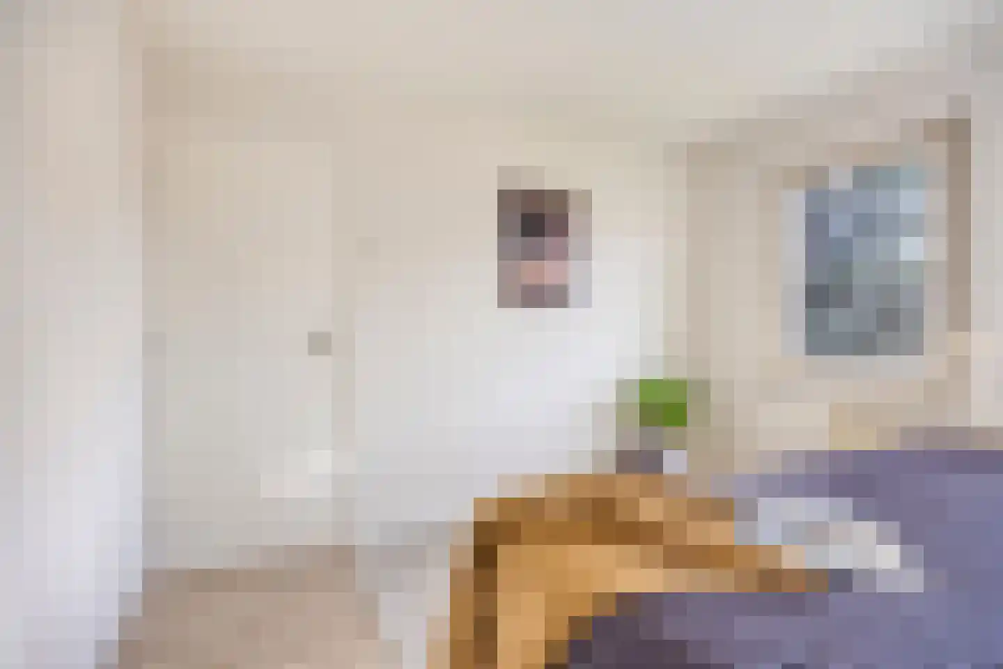 Aijen 8 Bergen L thumbnail 24