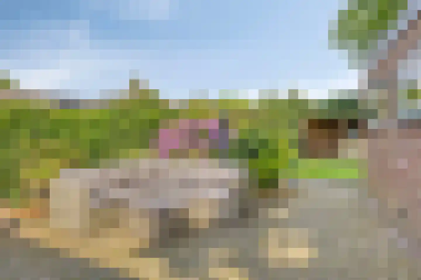 Aijen 8 Bergen L thumbnail 35