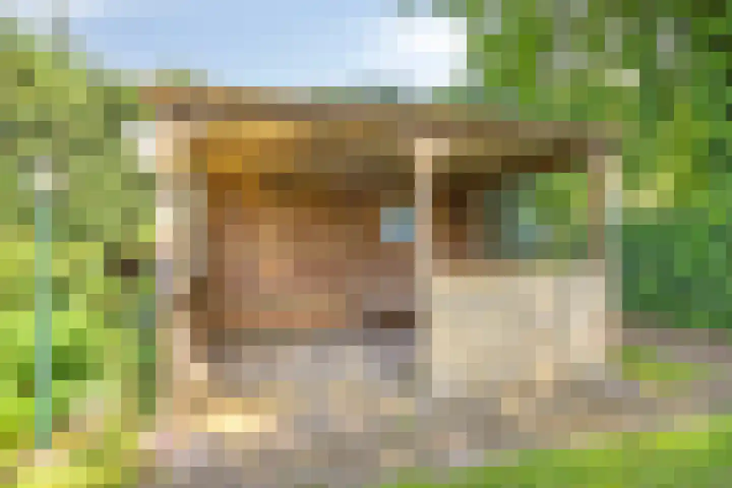 Aijen 8 Bergen L thumbnail 37