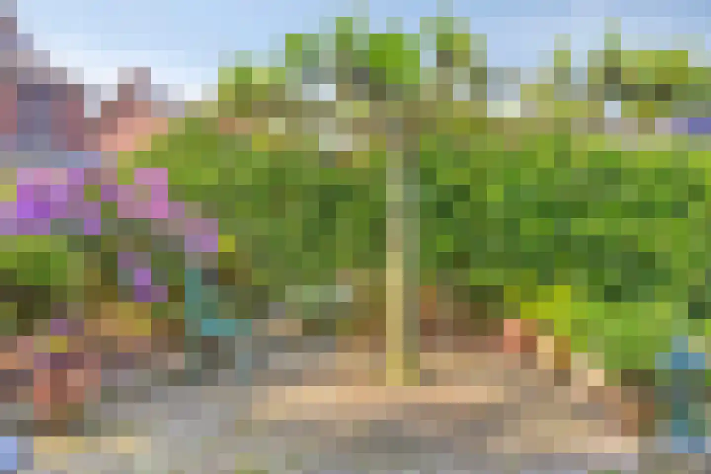 Aijen 8 Bergen L thumbnail 38