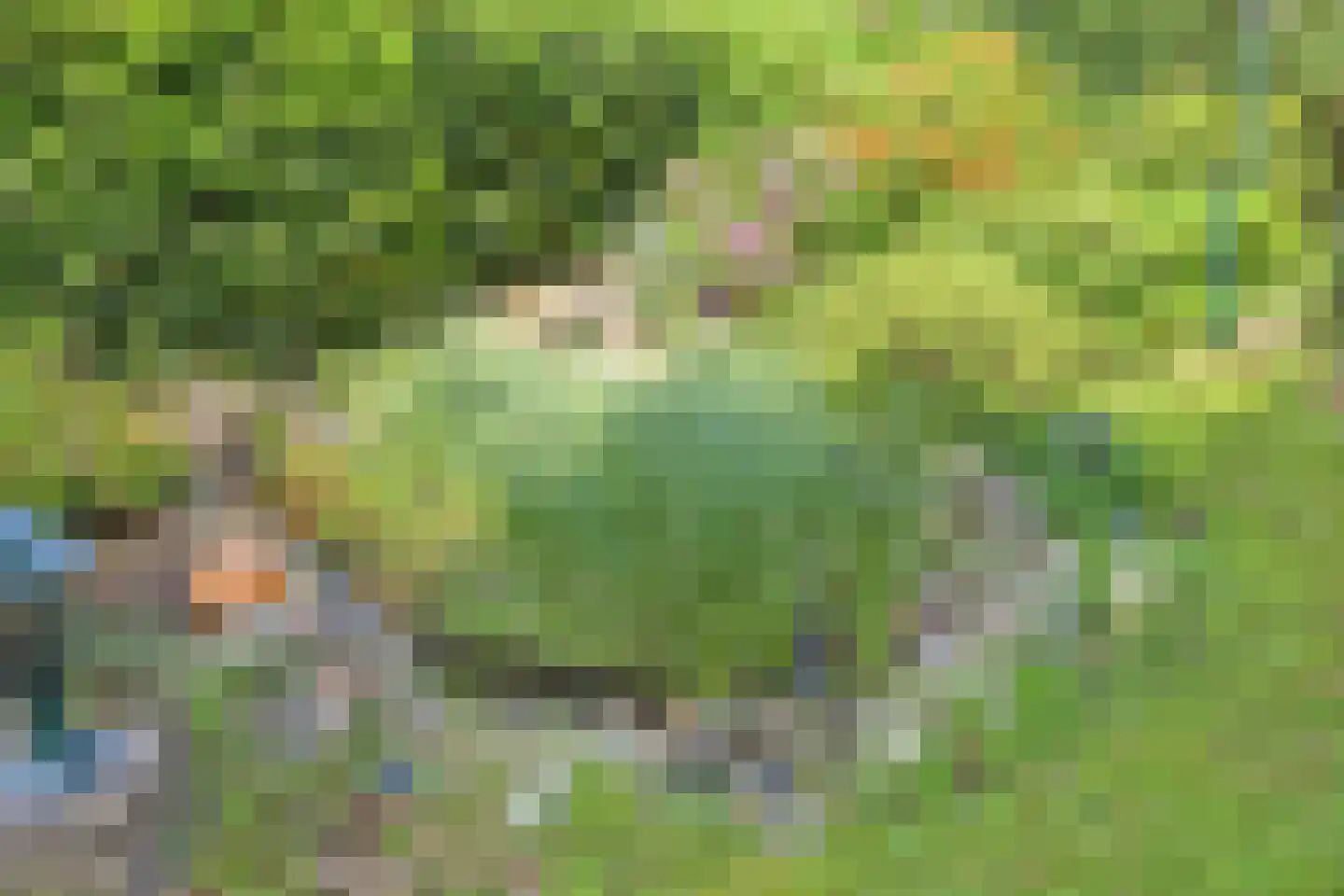 Aijen 8 Bergen L thumbnail 39