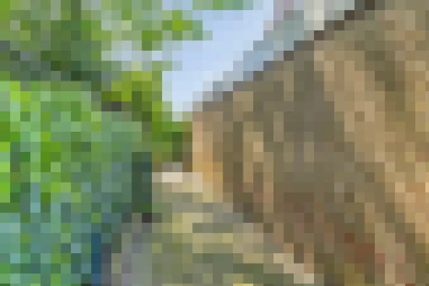 Aijen 8 Bergen L thumbnail 44