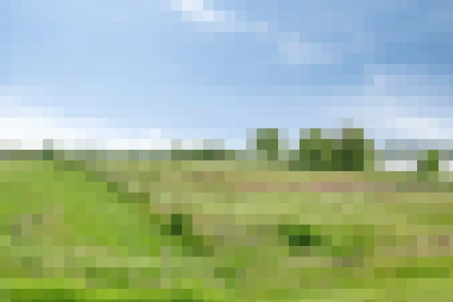 Aijen 8 Bergen L thumbnail 51