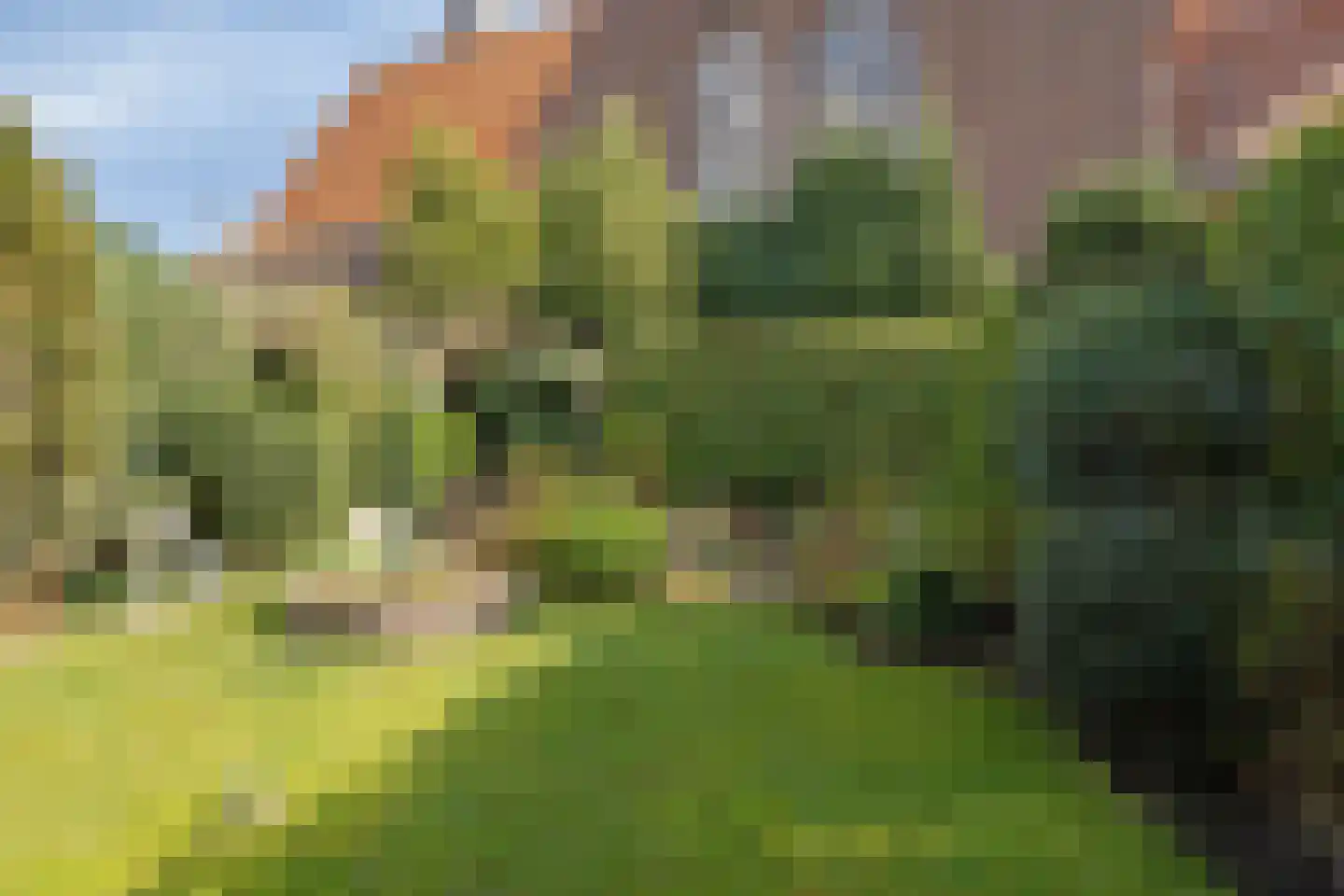 Aijenseweg 1 a Bergen L thumbnail 37
