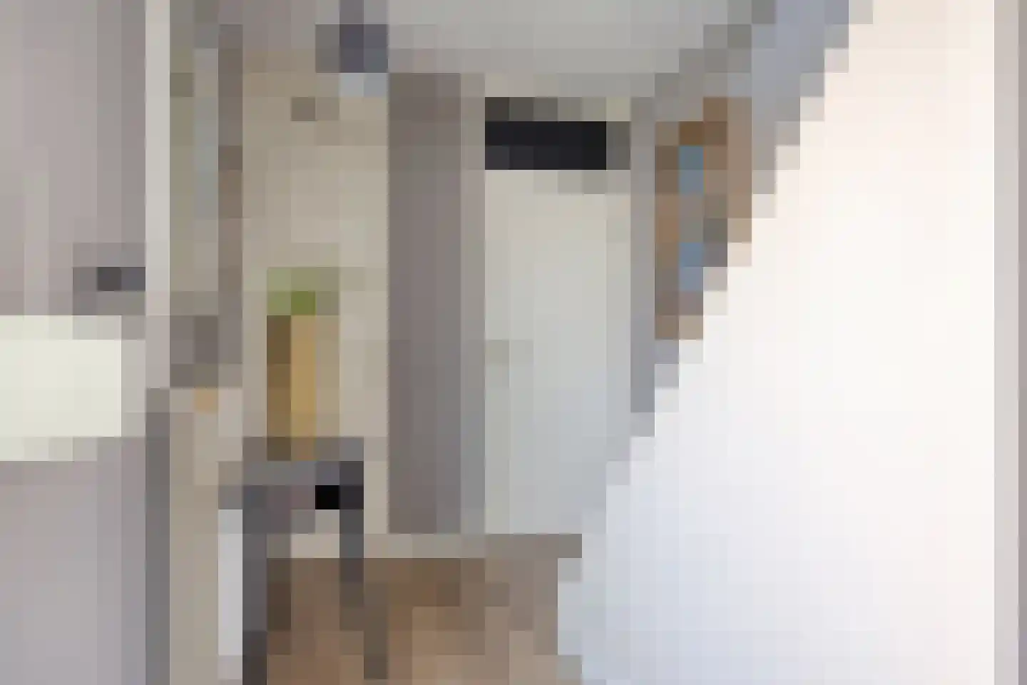 Aijenseweg 1 a Bergen L thumbnail 5