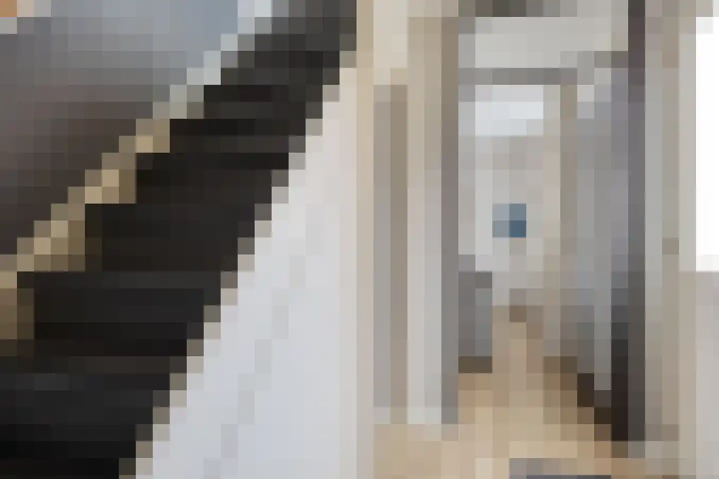 Aijenseweg 1 a Bergen L thumbnail 7
