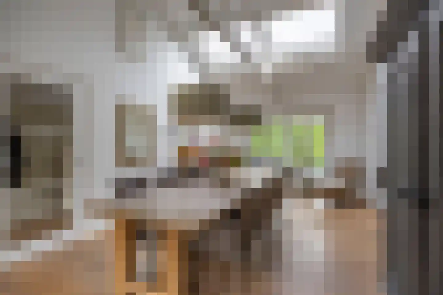 Aijenseweg 15 Bergen L thumbnail 10