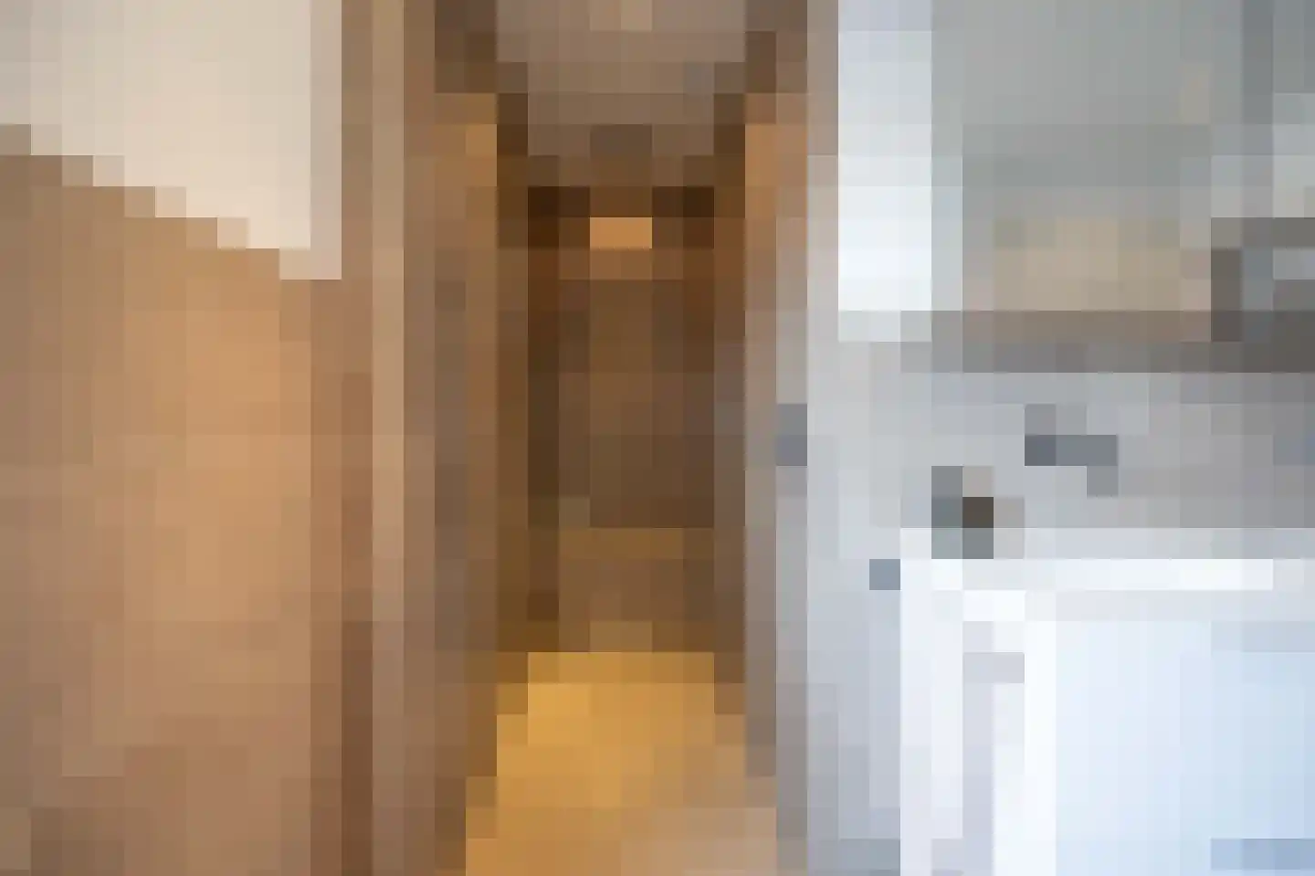 Aijenseweg 15 Bergen L thumbnail 34
