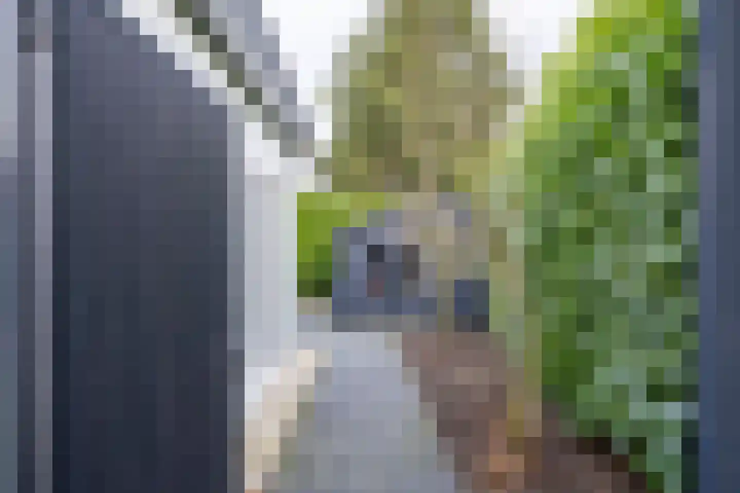 Aijenseweg 15 Bergen L thumbnail 51