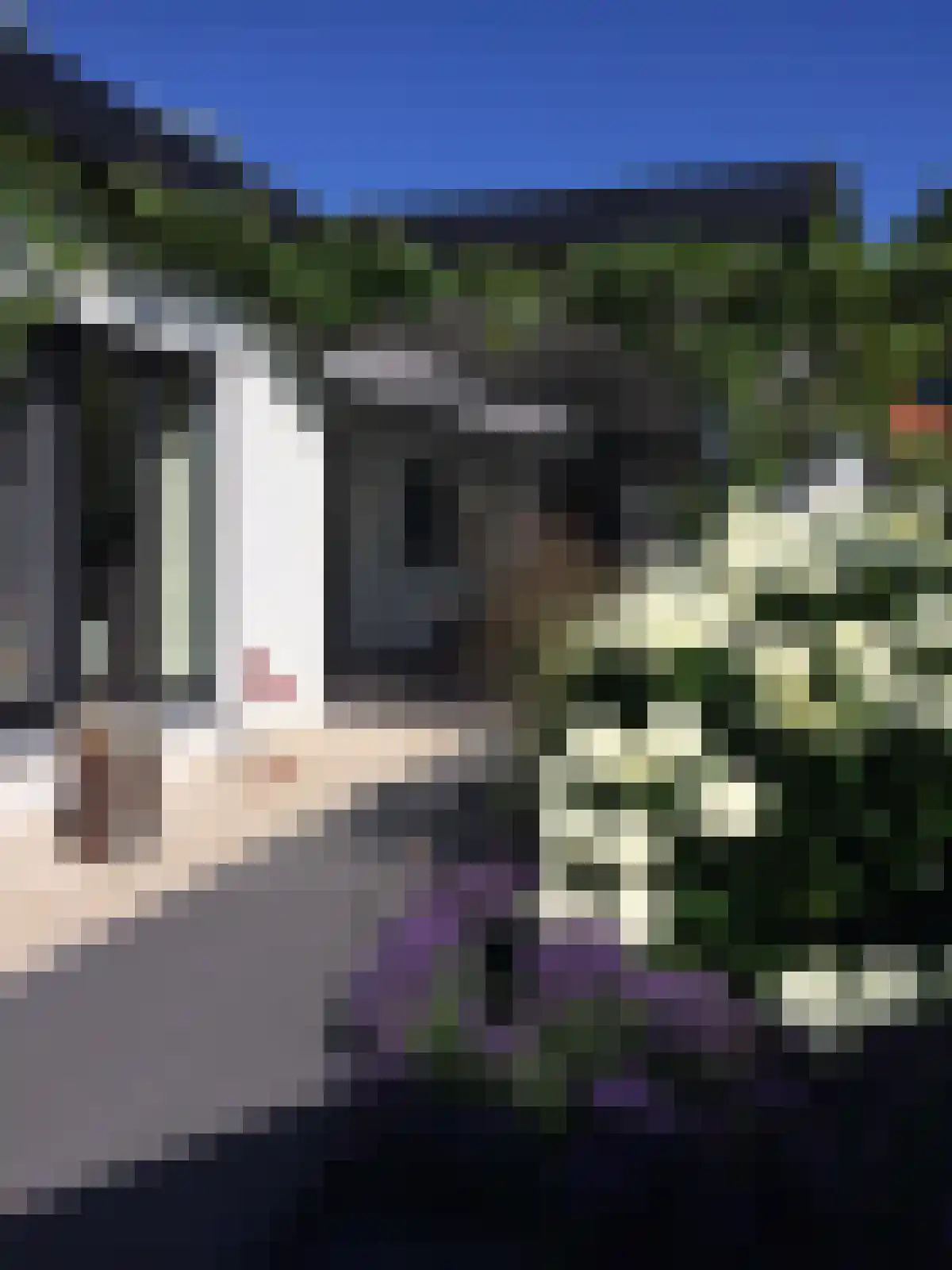 Aijenseweg 15 Bergen L thumbnail 65