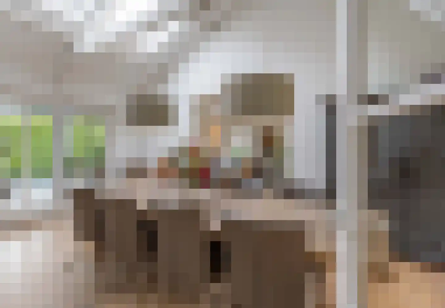 Aijenseweg 15 Bergen L thumbnail 8