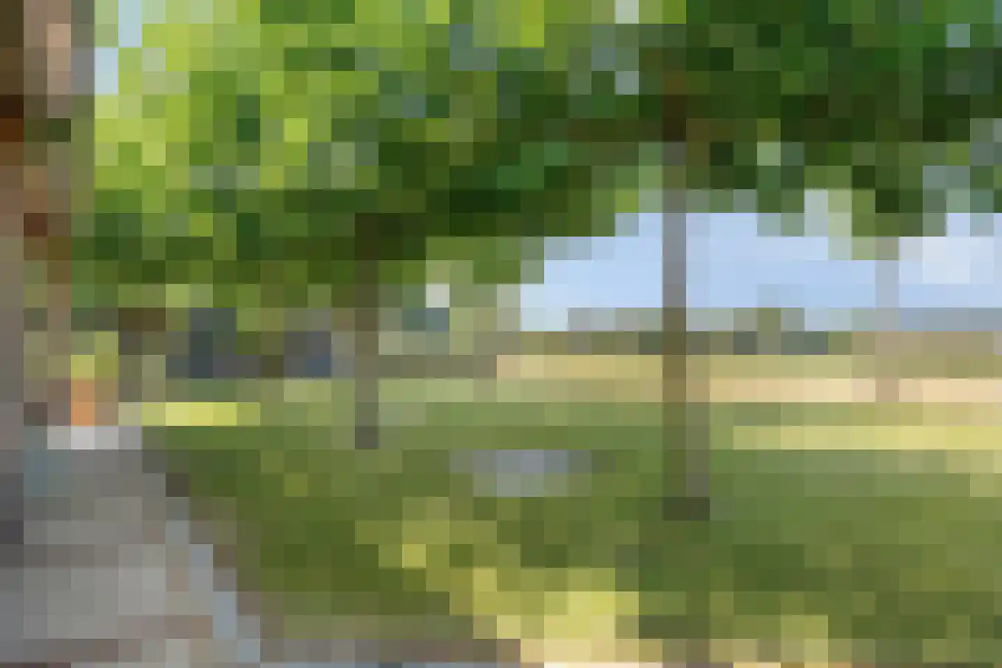 Aijenseweg 38 Bergen L thumbnail 38