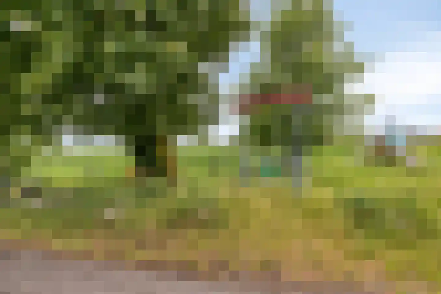 Aijenseweg 38 Bergen L thumbnail 56