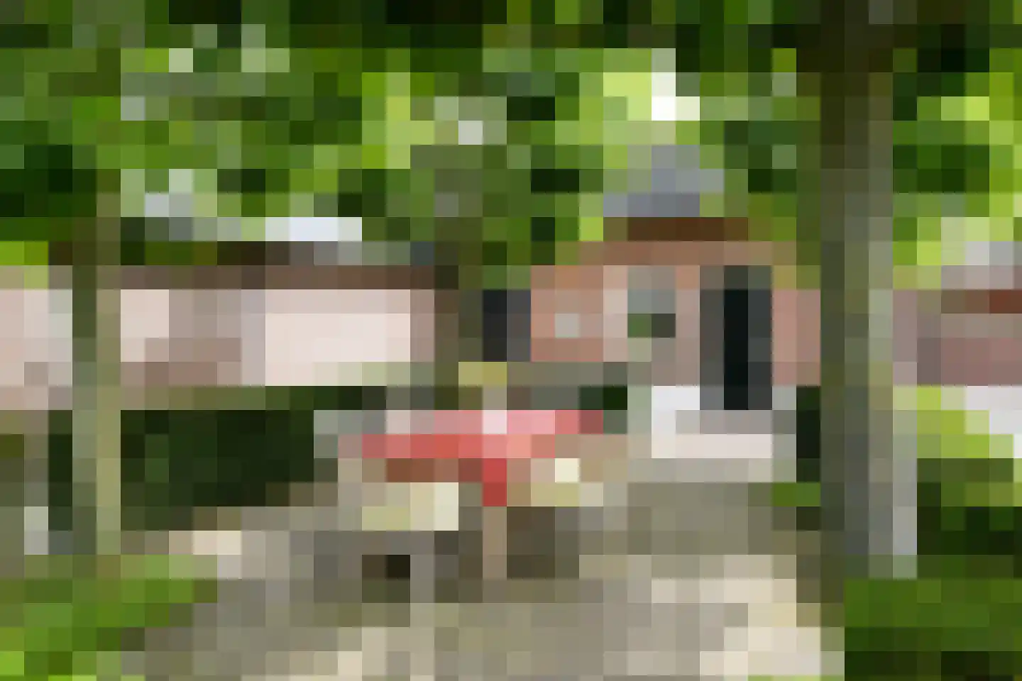 Aijenseweg 7 Bergen L thumbnail 35