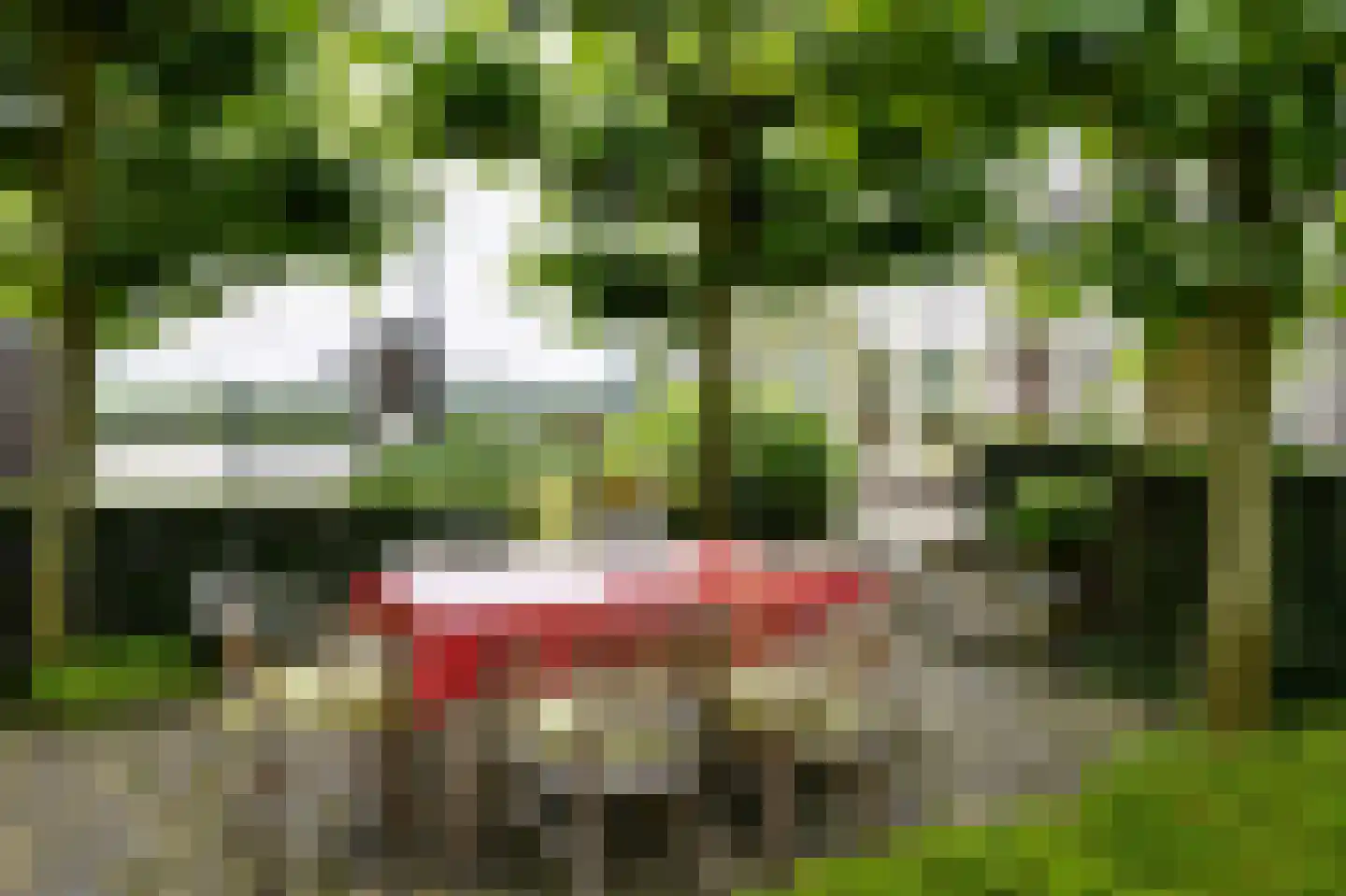 Aijenseweg 7 Bergen L thumbnail 37