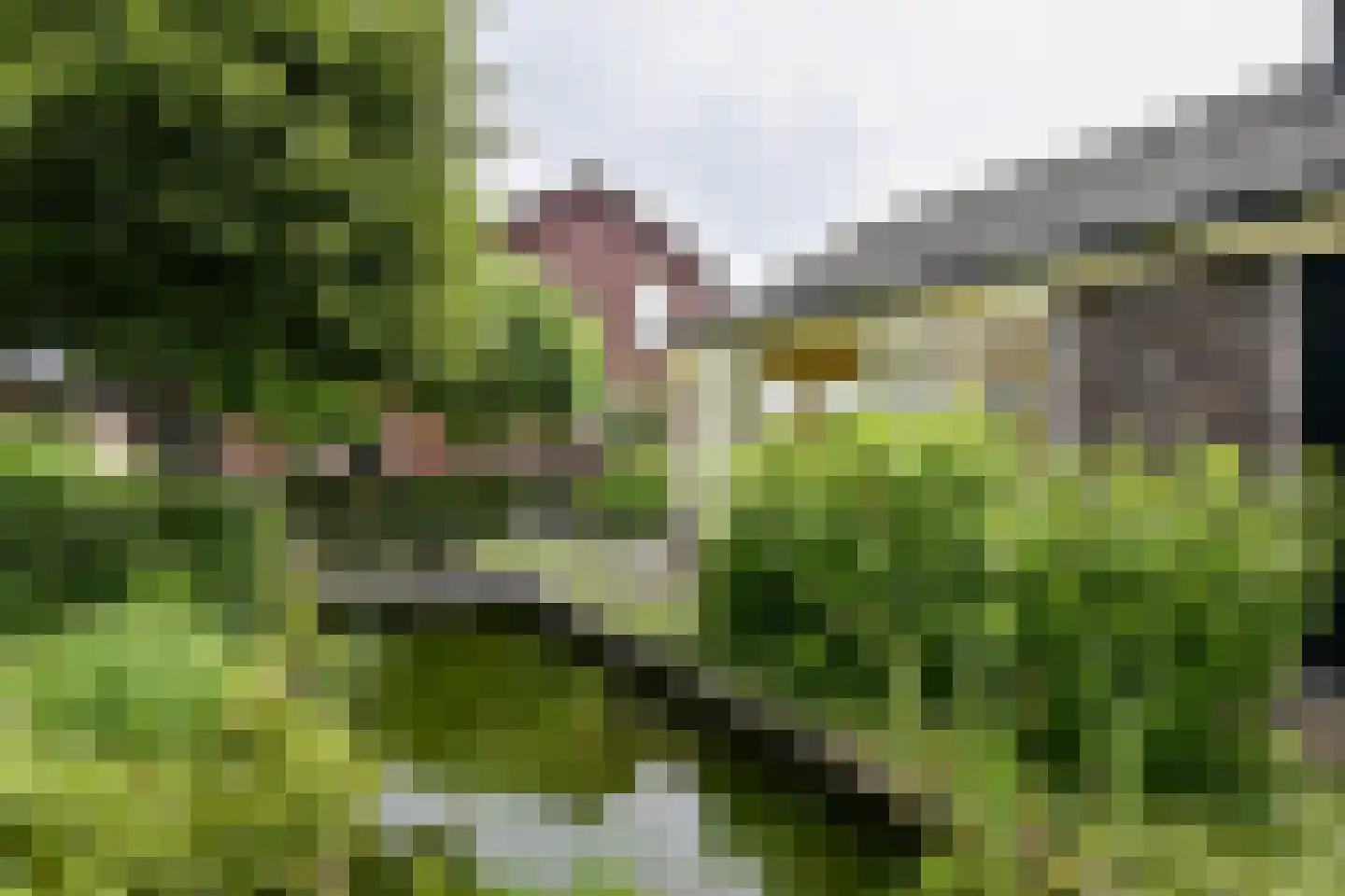 Aijenseweg 7 Bergen L thumbnail 39