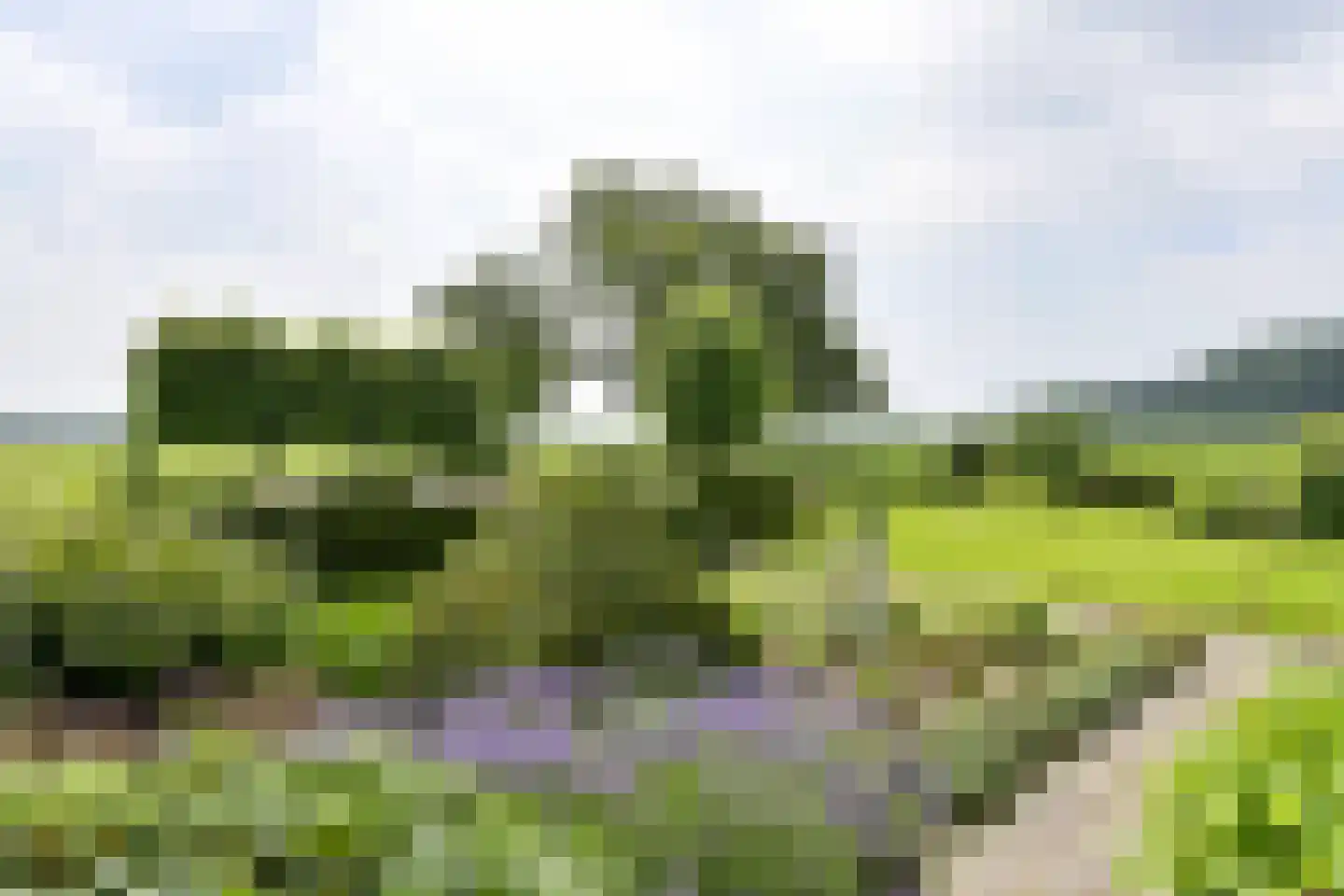 Aijenseweg 7 Bergen L thumbnail 59