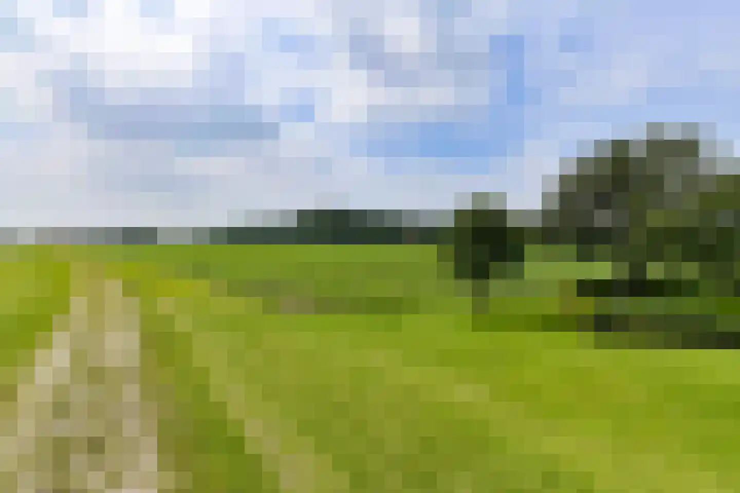 Aijenseweg 7 Bergen L thumbnail 61