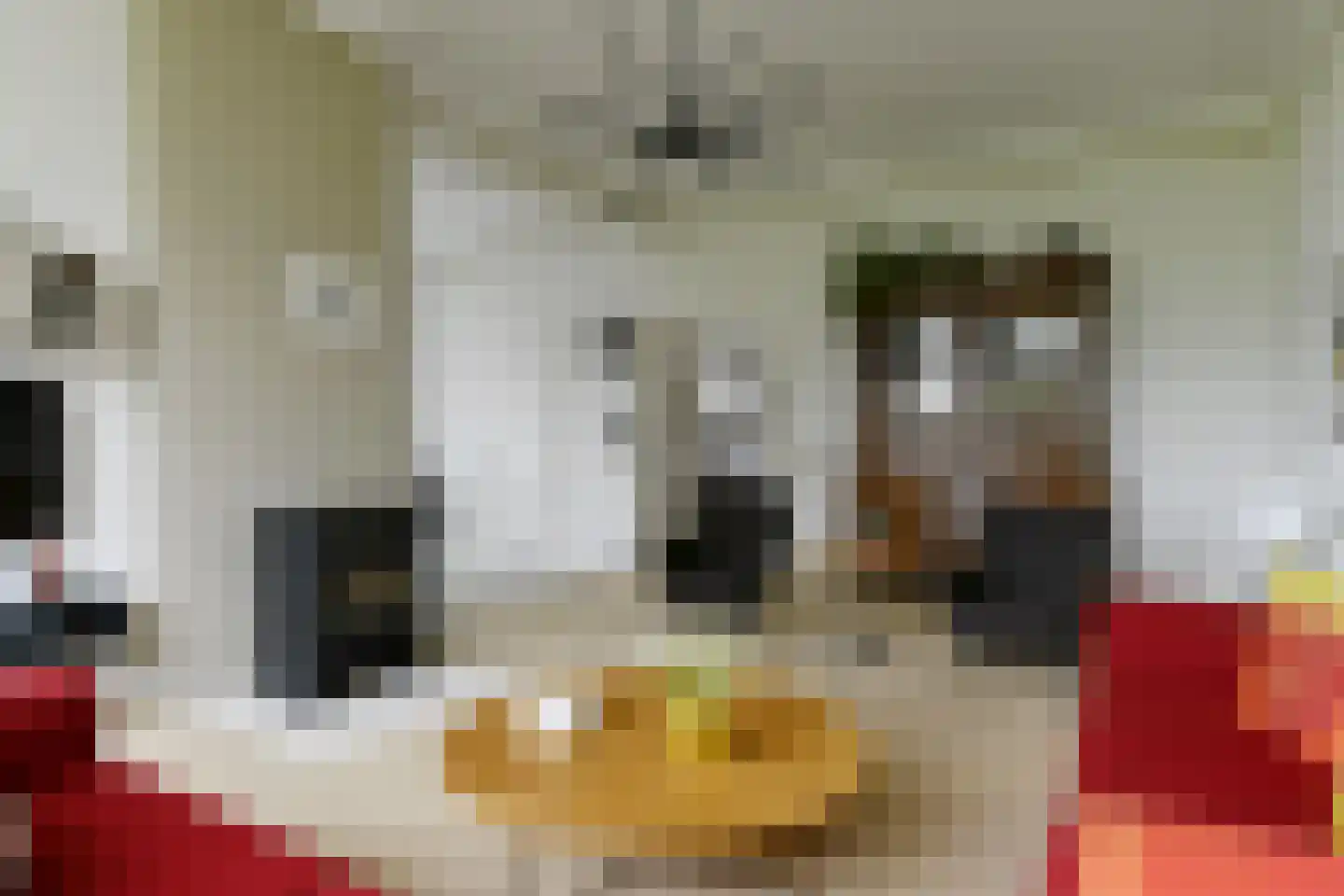 Aijenseweg 7 Bergen L thumbnail 9