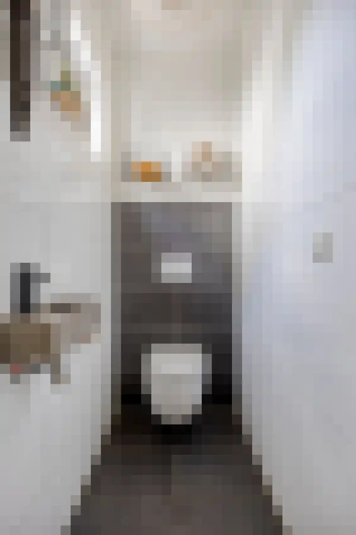 Aimé Bonnastraat 9 Vianen thumbnail 5