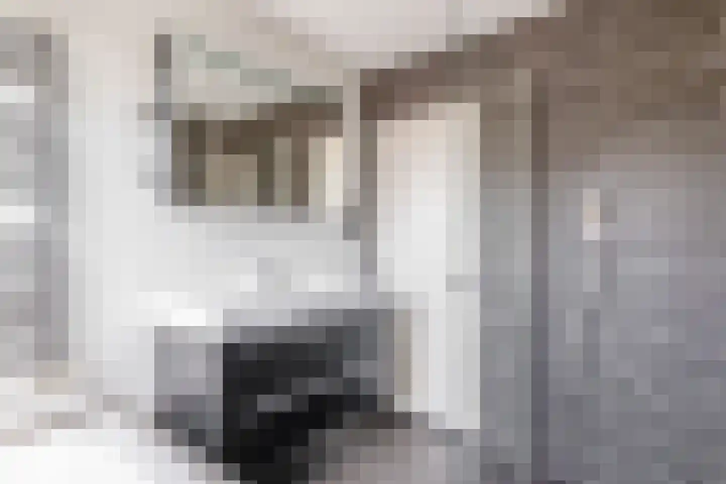 Airbornelaan 3 Eindhoven thumbnail 26