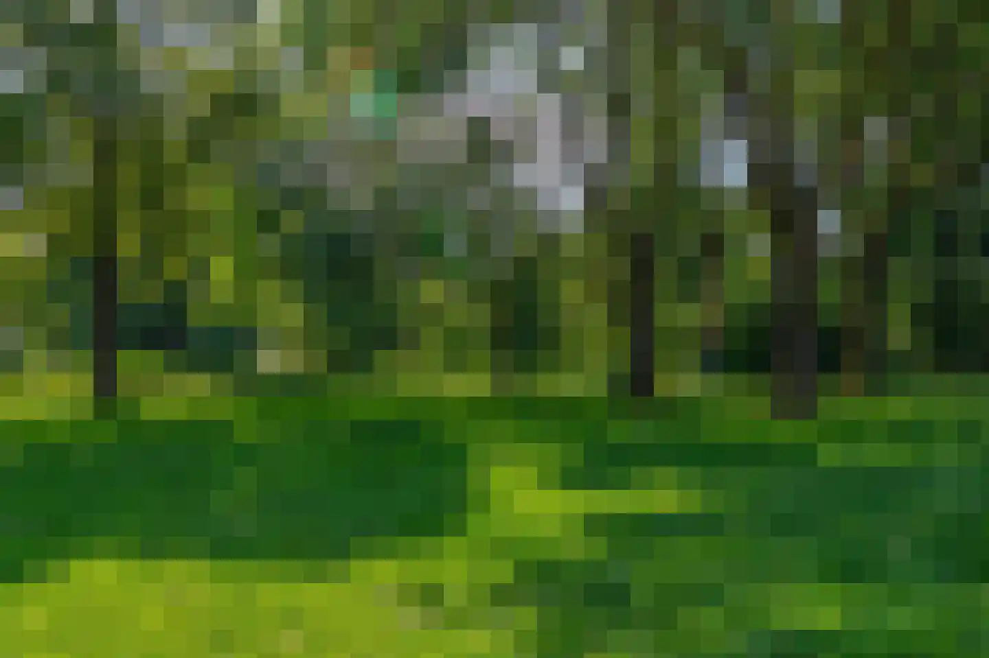 Airbornelaan 3 Eindhoven thumbnail 39