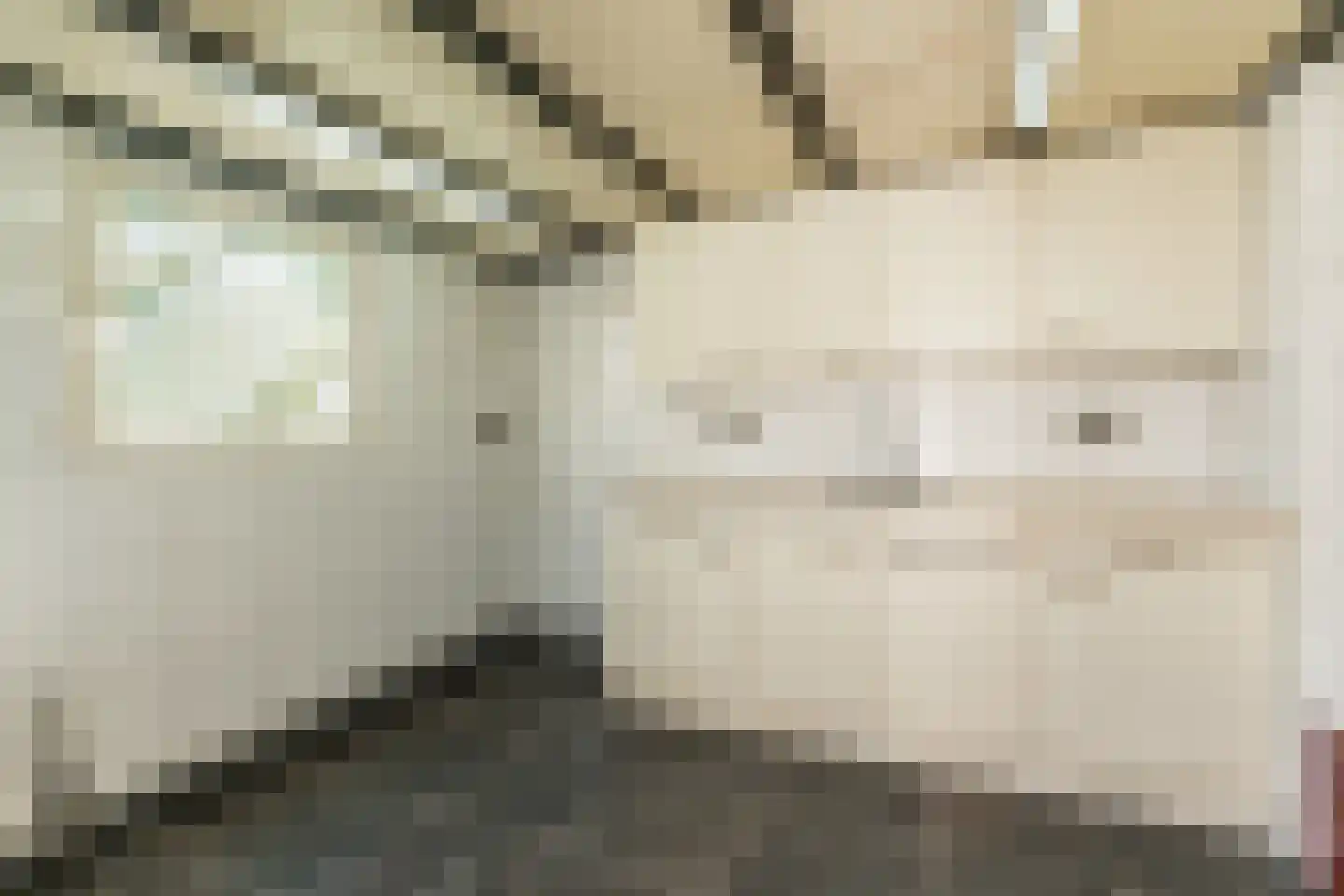 Airbornelaan 45 Eindhoven thumbnail 48