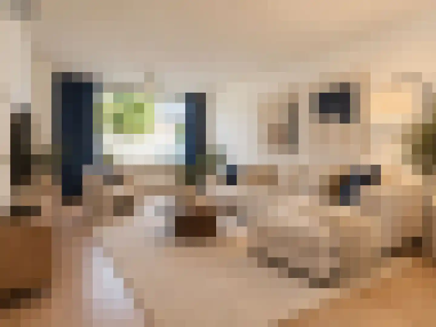 Airbornelaan 45 Eindhoven thumbnail 7