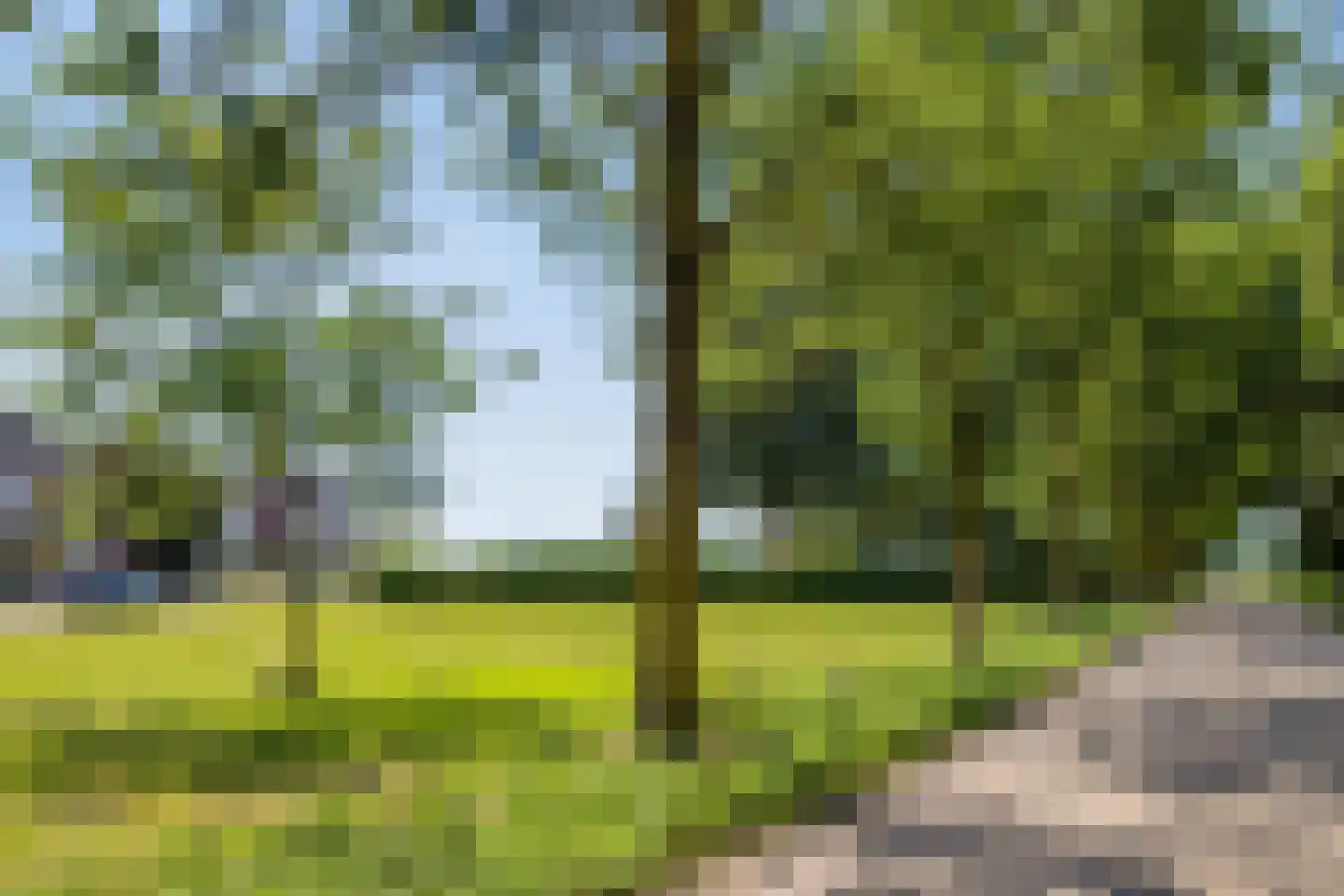 Airborneplein 20 Grave thumbnail 28