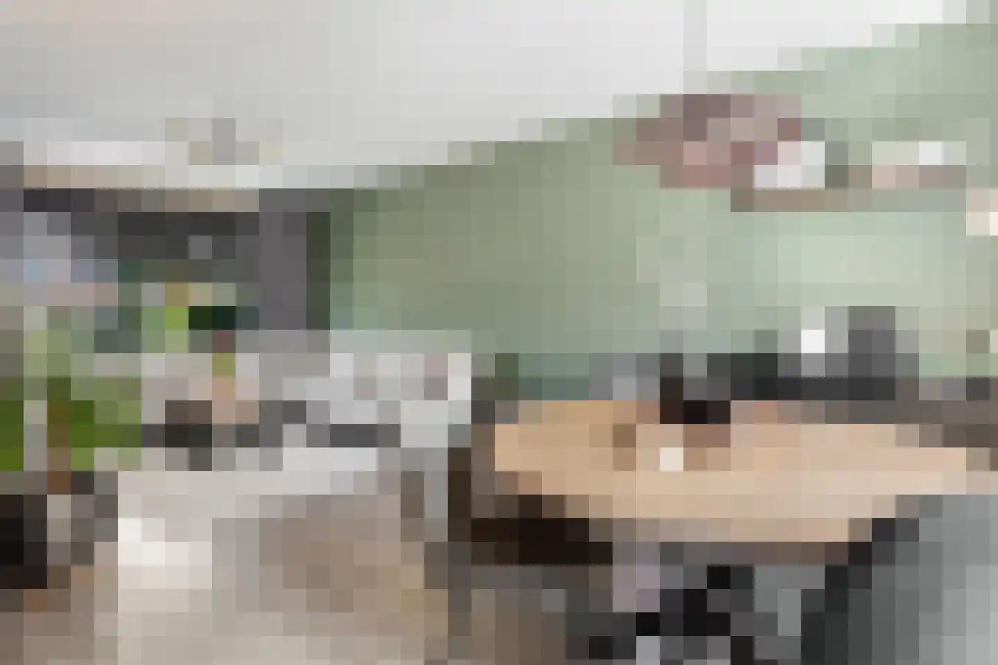 Airborneplein 20 Grave thumbnail 4