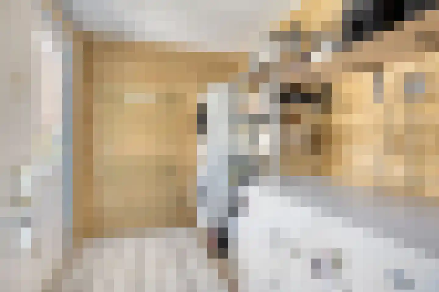 Airborneplein 20 Grave thumbnail 9