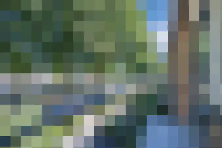 Airborneplein 22 Grave thumbnail 13