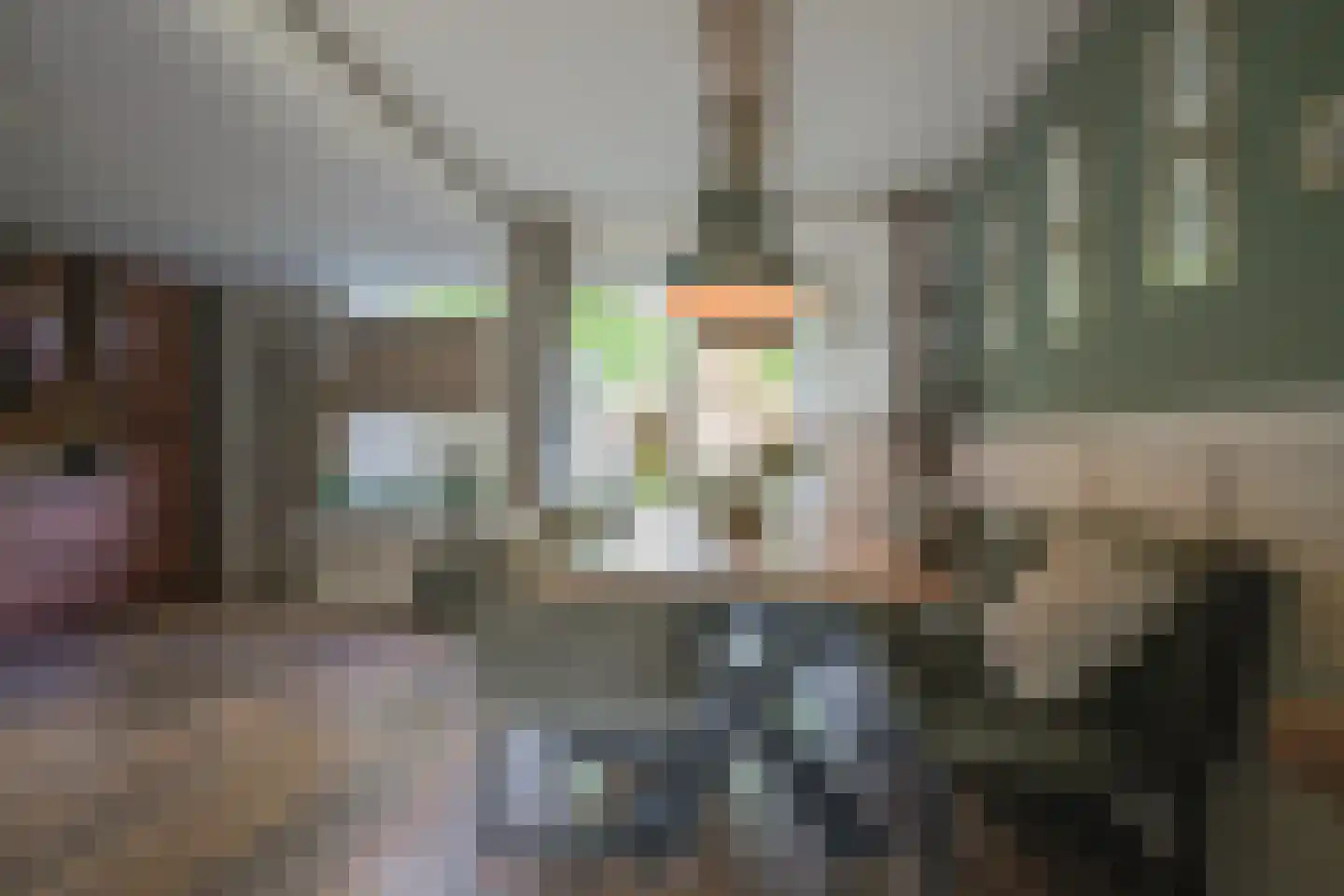 Airbornestraat 26 Doetinchem thumbnail 18