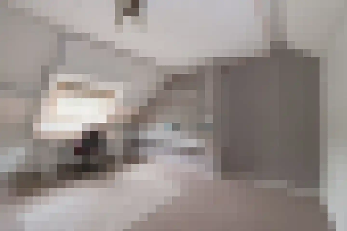 Airbornestraat 26 Doetinchem thumbnail 41