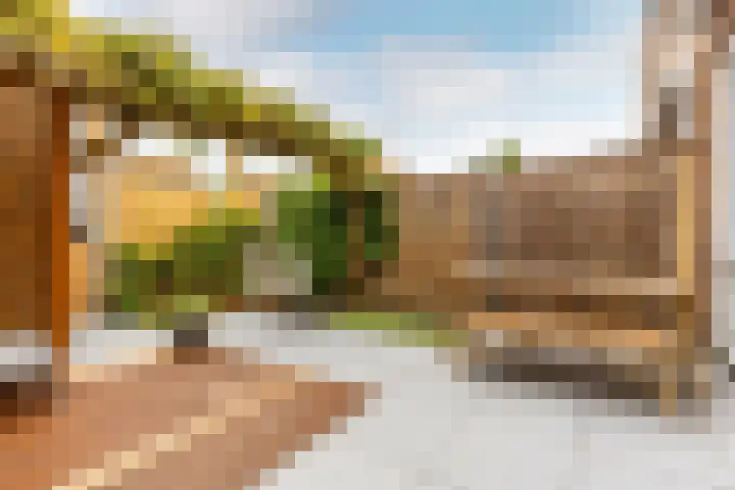 Ajaxstraat 106 Rotterdam thumbnail 9