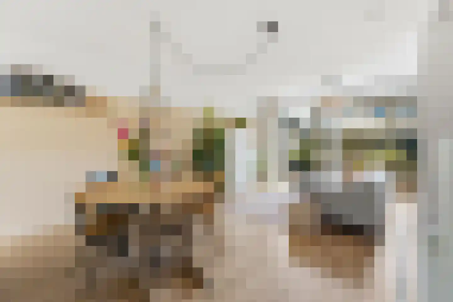 Ajaxstraat 21 Rotterdam thumbnail 13